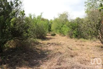 NEX-266908 - Terreno en Venta en Gil de Leyva, CP 67560, Nuevo León.
