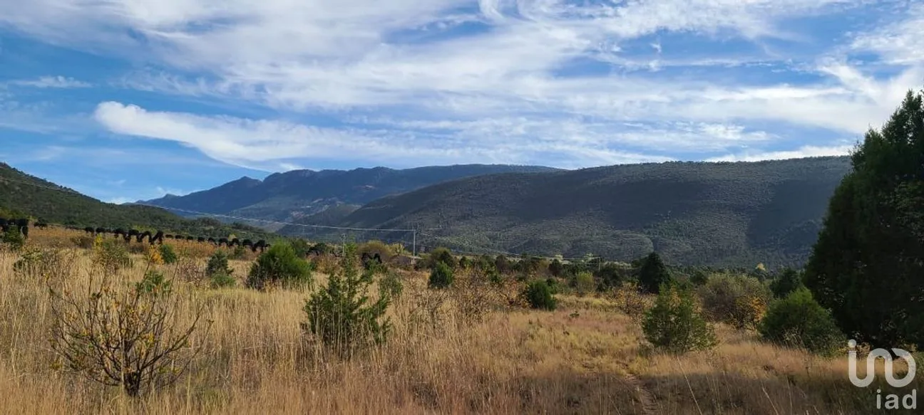 Terreno en Venta en Jame, Arteaga, Coahuila | NEX-266910 | iad México | Foto 2 de 7