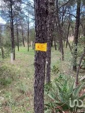 NEX-267608 - Terreno en Venta en Huachichil (El Huache), CP 25370, Coahuila.