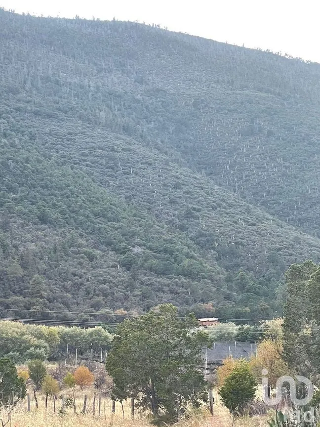 Terreno en Venta en La Purísima, Arteaga, Coahuila | NEX-267609 | iad México | Foto 11 de 12