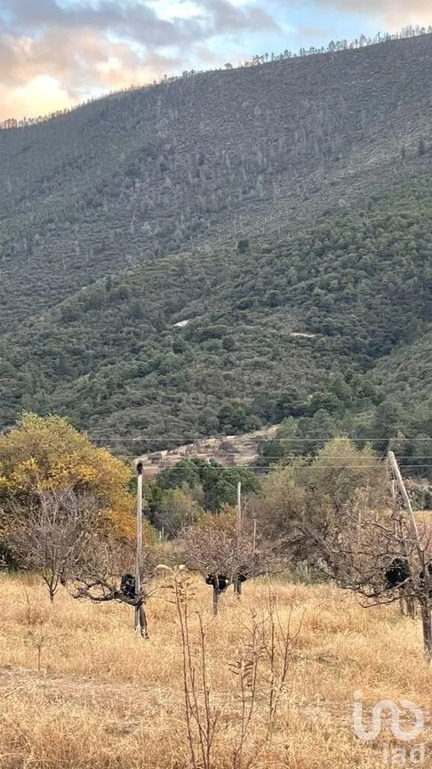 Terreno en Venta en La Purísima, Arteaga, Coahuila | NEX-267609 | iad México | Foto 12 de 12