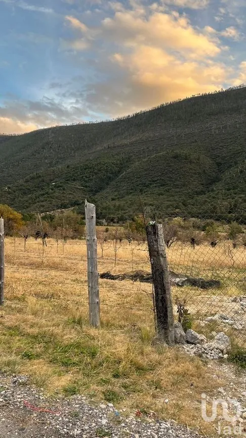 Terreno en Venta en La Purísima, Arteaga, Coahuila | NEX-267609 | iad México | Foto 3 de 12