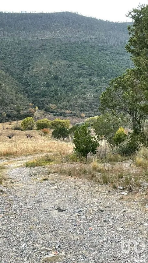 Terreno en Venta en La Purísima, Arteaga, Coahuila | NEX-267609 | iad México | Foto 4 de 12