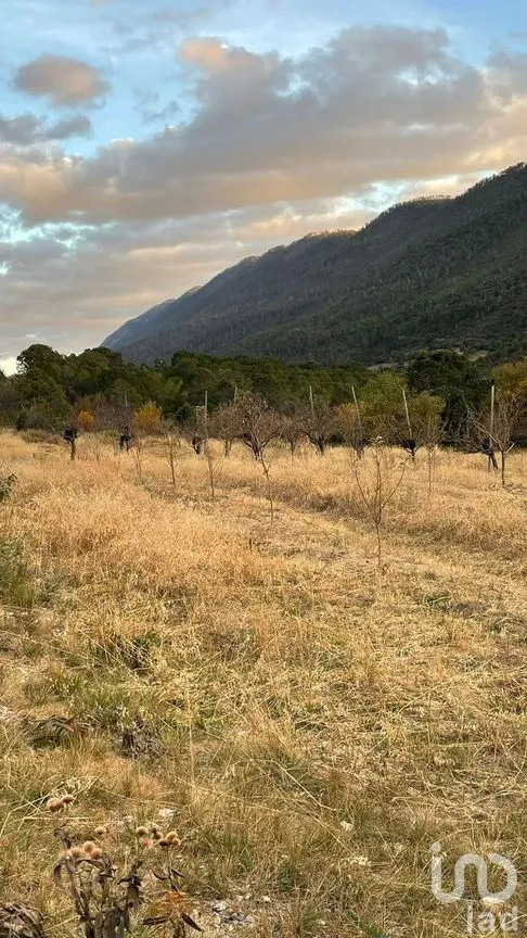 Terreno en Venta en La Purísima, Arteaga, Coahuila | NEX-267609 | iad México | Foto 7 de 12