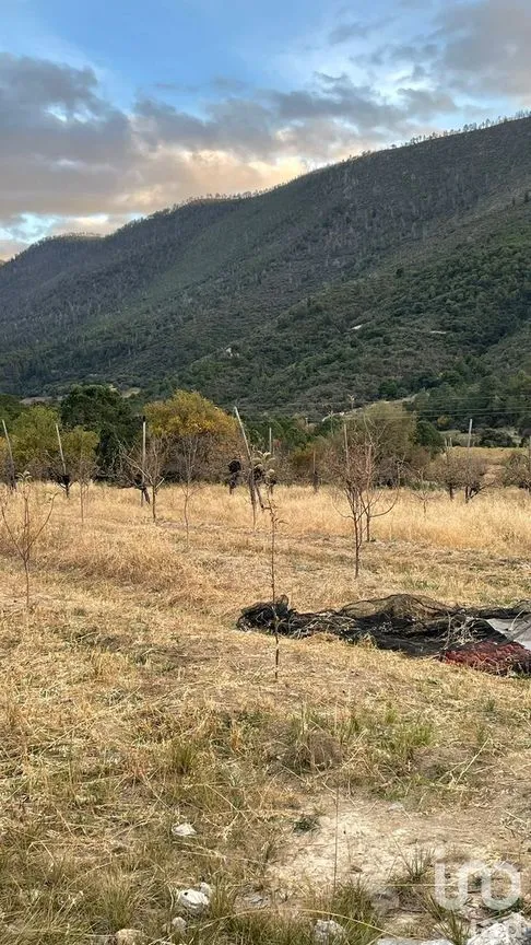 Terreno en Venta en La Purísima, Arteaga, Coahuila | NEX-267609 | iad México | Foto 8 de 12