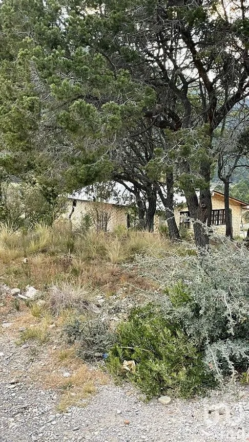 Terreno en Venta en La Purísima, Arteaga, Coahuila | NEX-267609 | iad México | Foto 9 de 12