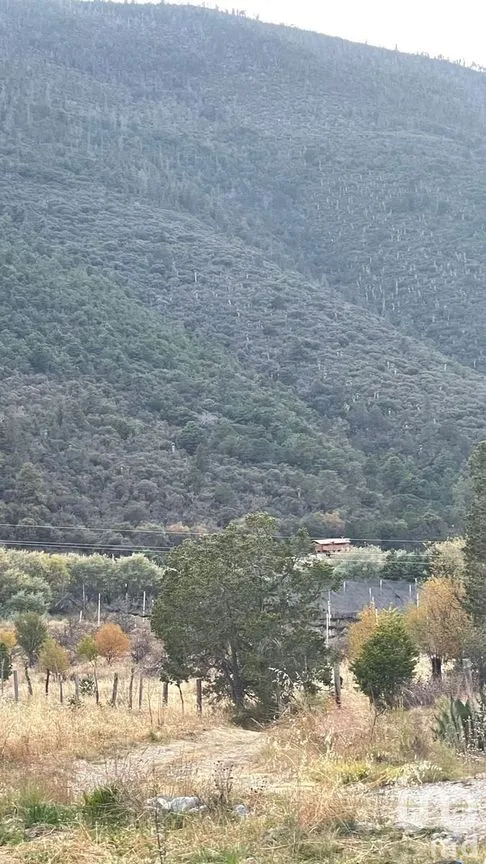 Terreno en Venta en La Purísima, Arteaga, Coahuila | NEX-267609 | iad México | Foto 10 de 12