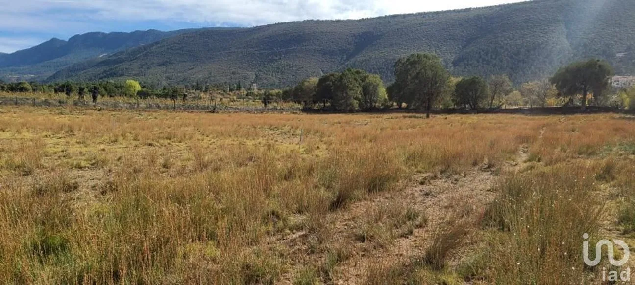 Terreno en Venta en Jame, Arteaga, Coahuila | NEX-267613 | iad México | Foto 2 de 11