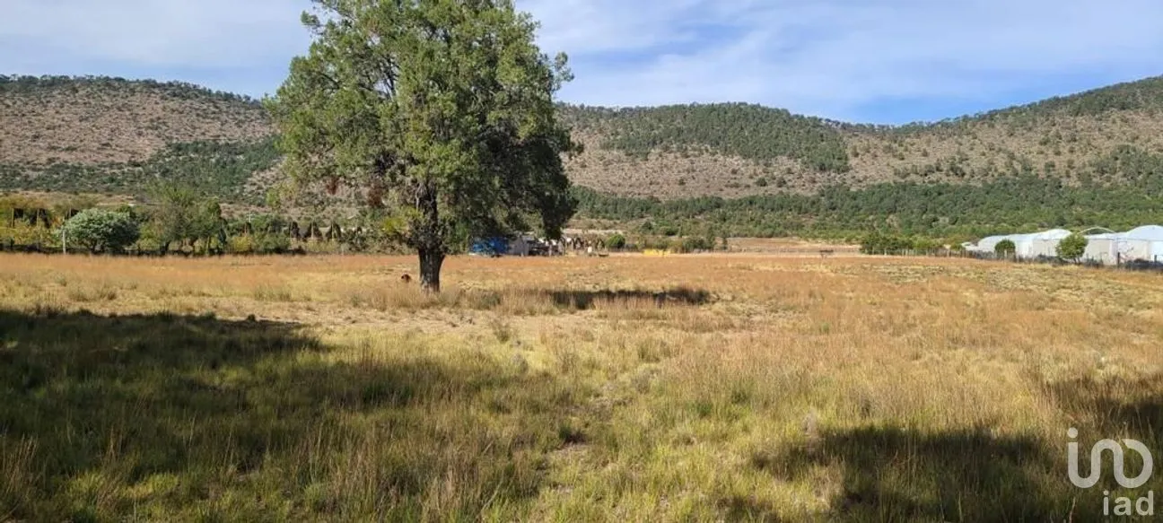 Terreno en Venta en Jame, Arteaga, Coahuila | NEX-267613 | iad México | Foto 5 de 11