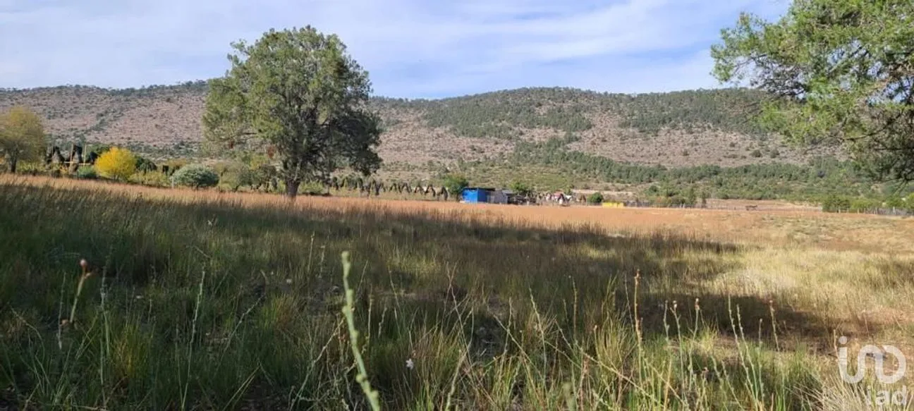 Terreno en Venta en Jame, Arteaga, Coahuila | NEX-267613 | iad México | Foto 6 de 11