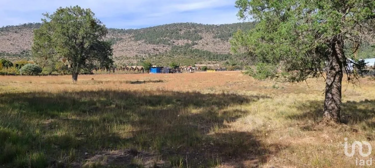 Terreno en Venta en Jame, Arteaga, Coahuila | NEX-267613 | iad México | Foto 7 de 11