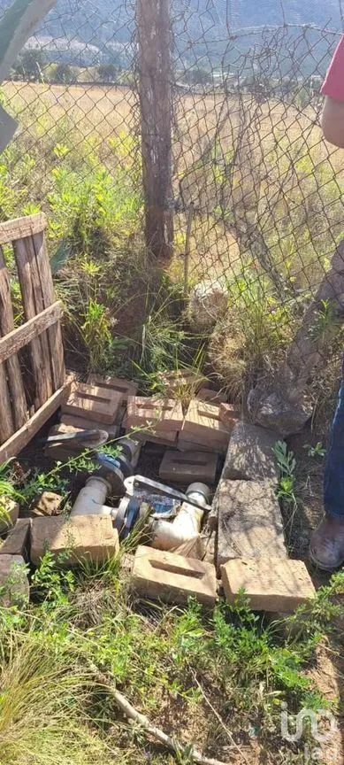 Terreno en Venta en Jame, Arteaga, Coahuila | NEX-267613 | iad México | Foto 10 de 11