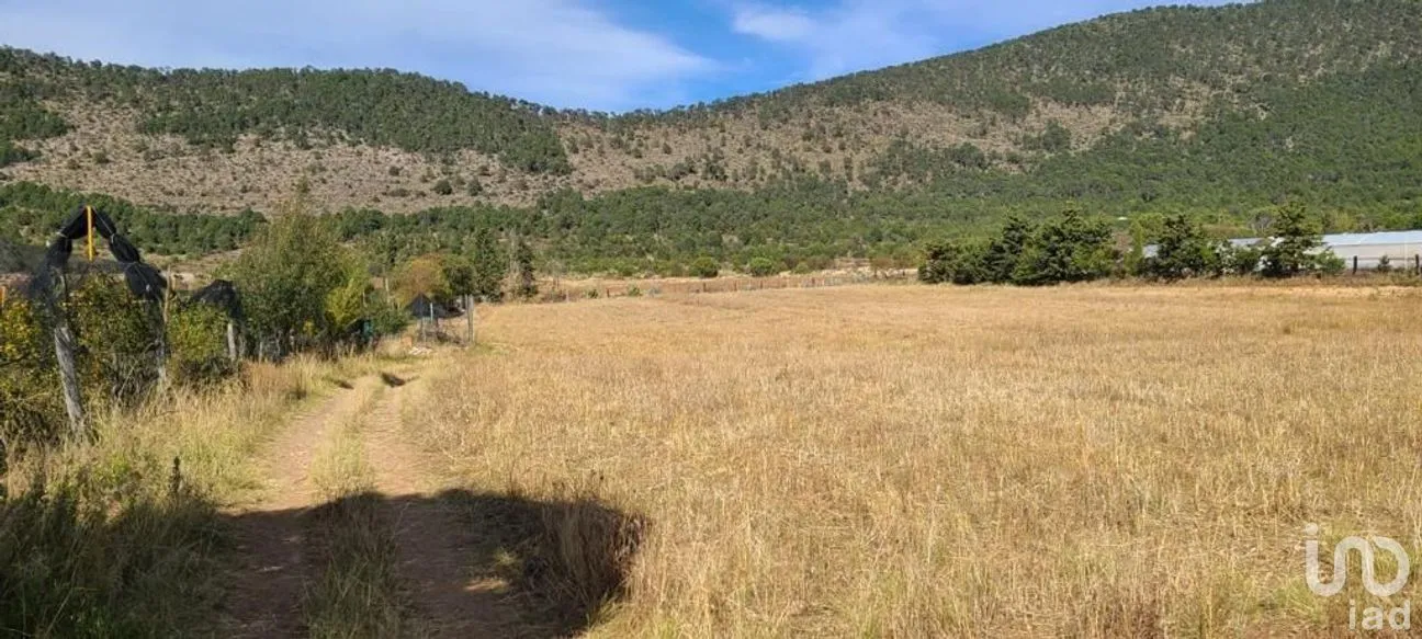 Terreno en Venta en Jame, Arteaga, Coahuila | NEX-267613 | iad México | Foto 1 de 11