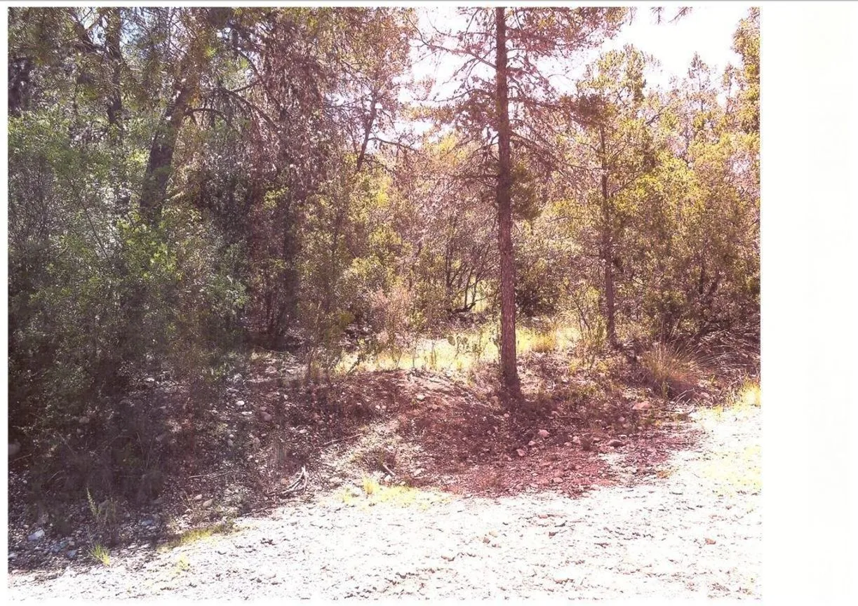 Terreno en Venta en Arteaga Centro, Arteaga, Coahuila | NEX-267617 | iad México | Foto 1 de 2