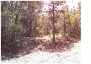 NEX-267617 - Terreno en Venta en Arteaga Centro, CP 25350, Coahuila.