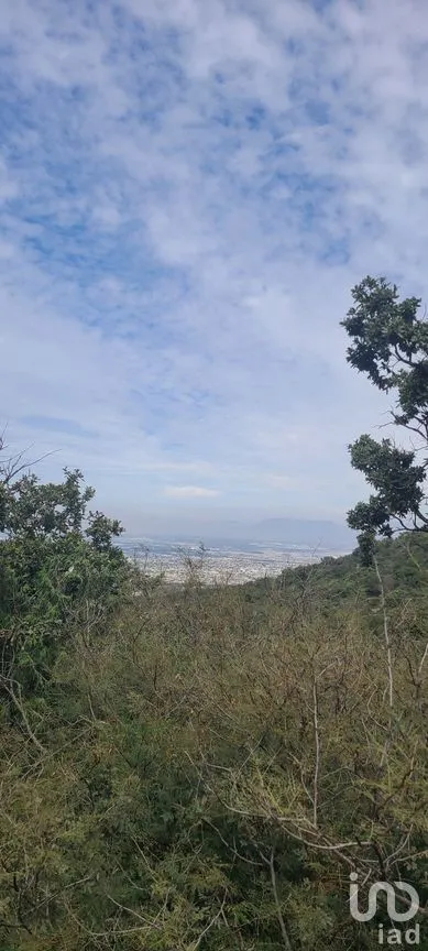 Terreno en Venta en Lomas de Lourdes, Saltillo, Coahuila | NEX-271303 | iad México | Foto 4 de 9