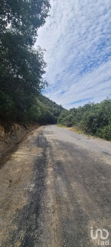 Terreno en Venta en Lomas de Lourdes, Saltillo, Coahuila | NEX-271303 | iad México | Foto 8 de 9