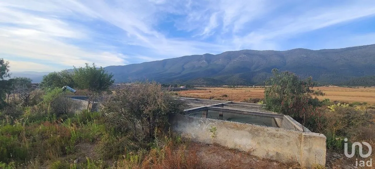 Terreno en Venta en San Antonio de las Alazanas, Arteaga, Coahuila | NEX-276455 | iad México | Foto 4 de 10