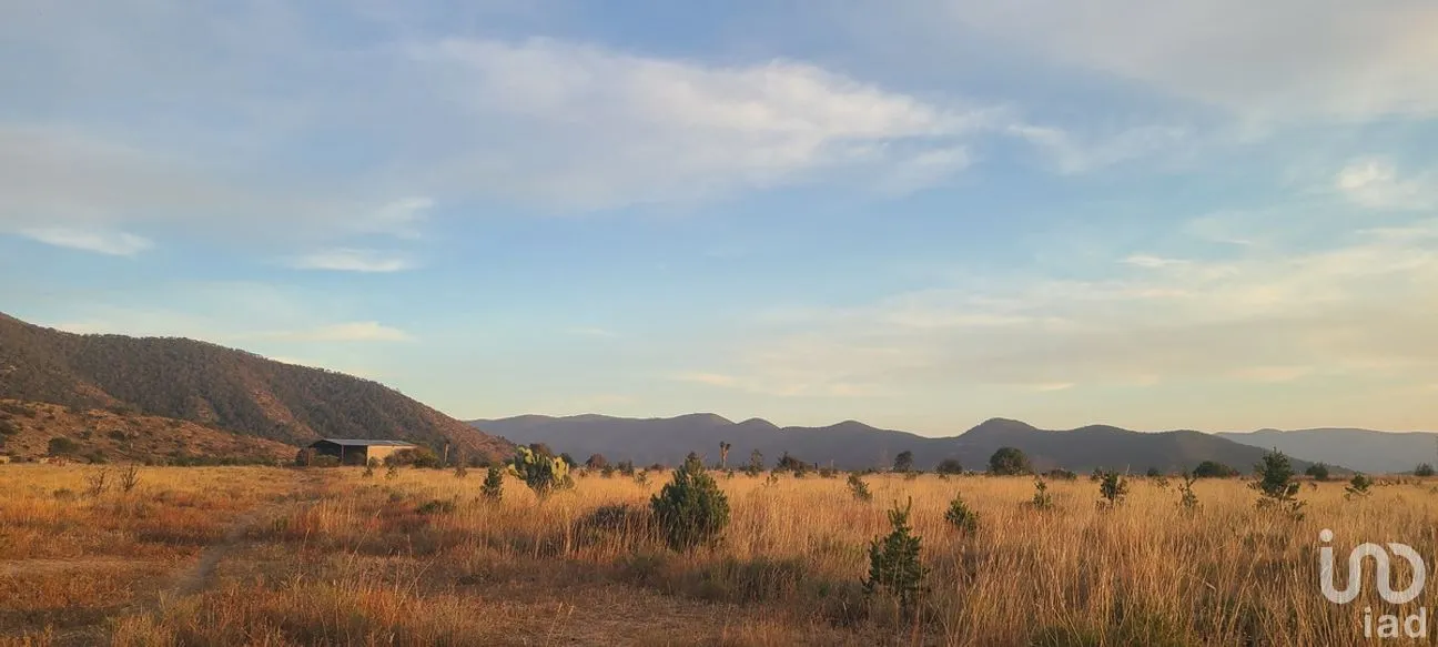 Terreno en Venta en San Antonio de las Alazanas, Arteaga, Coahuila | NEX-276455 | iad México | Foto 7 de 10