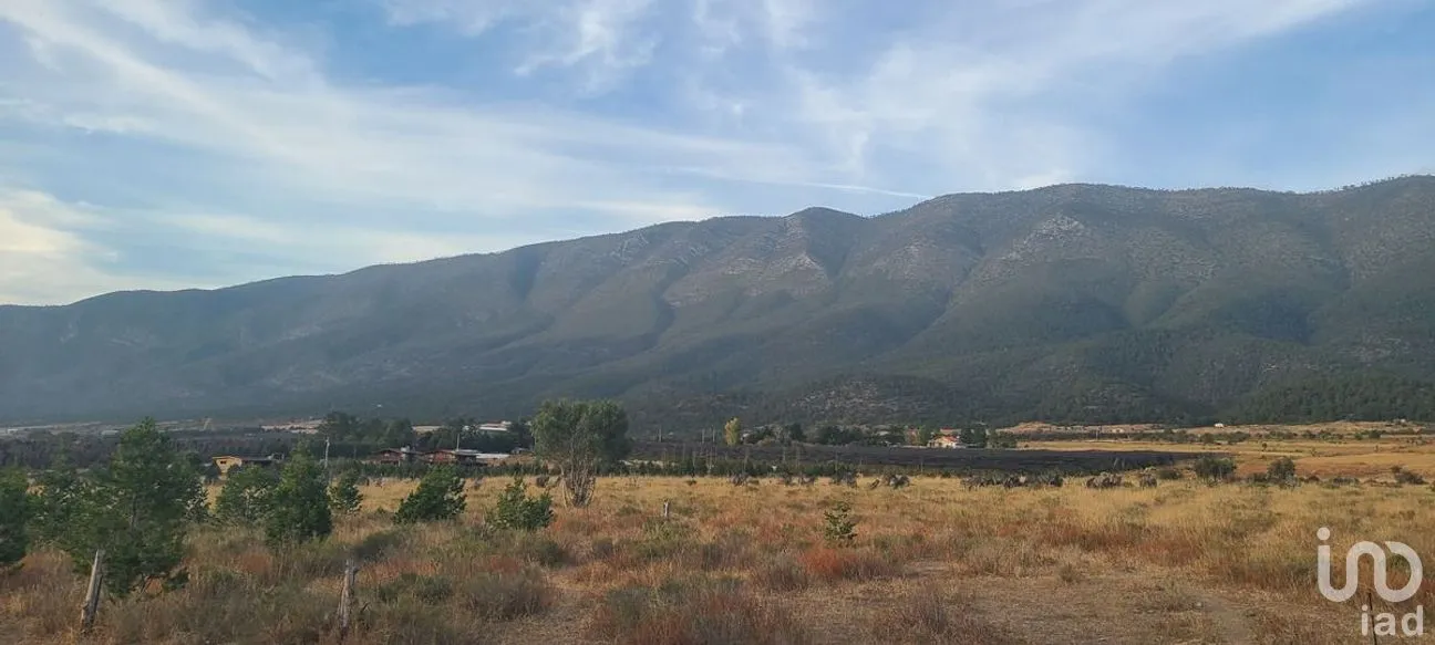 Terreno en Venta en San Antonio de las Alazanas, Arteaga, Coahuila | NEX-276455 | iad México | Foto 1 de 10
