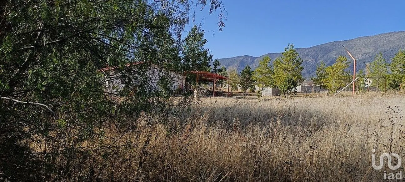 Terreno en Venta en San Antonio de las Alazanas, Arteaga, Coahuila | NEX-290753 | iad México | Foto 4 de 10