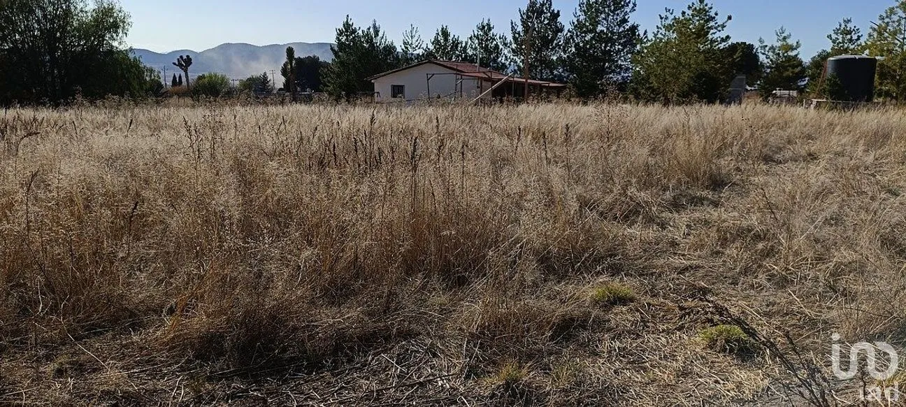 Terreno en Venta en San Antonio de las Alazanas, Arteaga, Coahuila | NEX-290753 | iad México | Foto 10 de 10