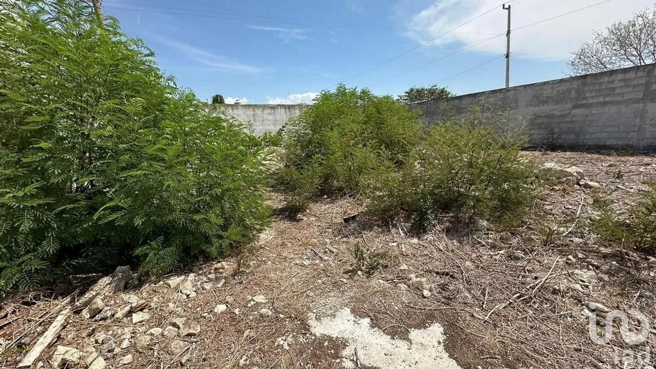 Terreno en Venta en San Antonio Hool, Mérida, Yucatán | NEX-231906 | iad México | Foto 15 de 19