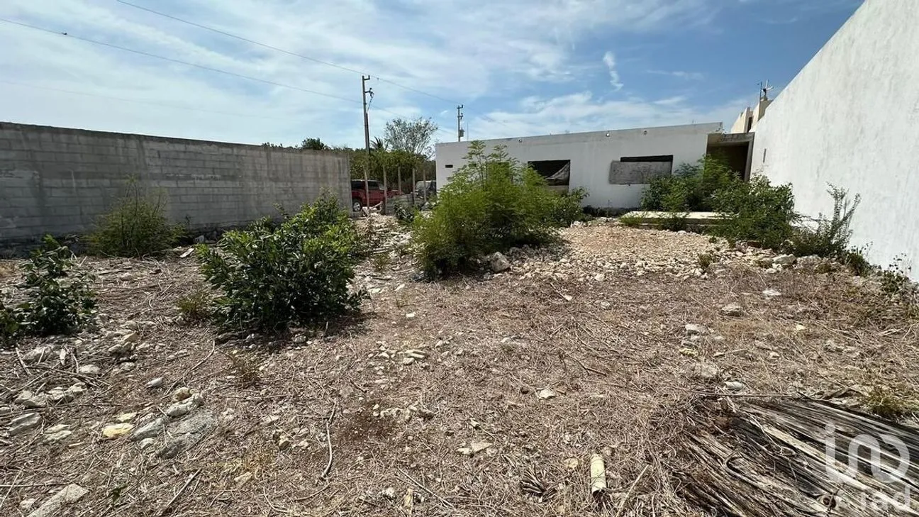 Terreno en Venta en San Antonio Hool, Mérida, Yucatán | NEX-231906 | iad México | Foto 16 de 19