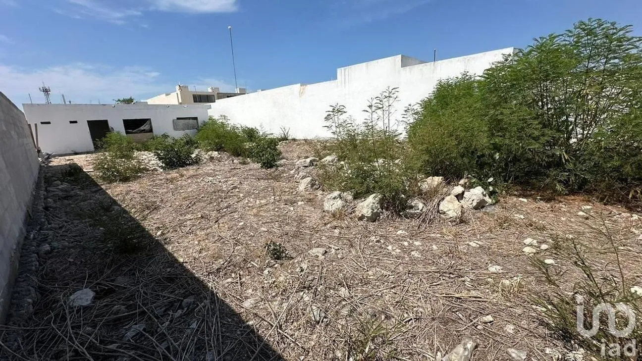 Terreno en Venta en San Antonio Hool, Mérida, Yucatán | NEX-231906 | iad México | Foto 17 de 19
