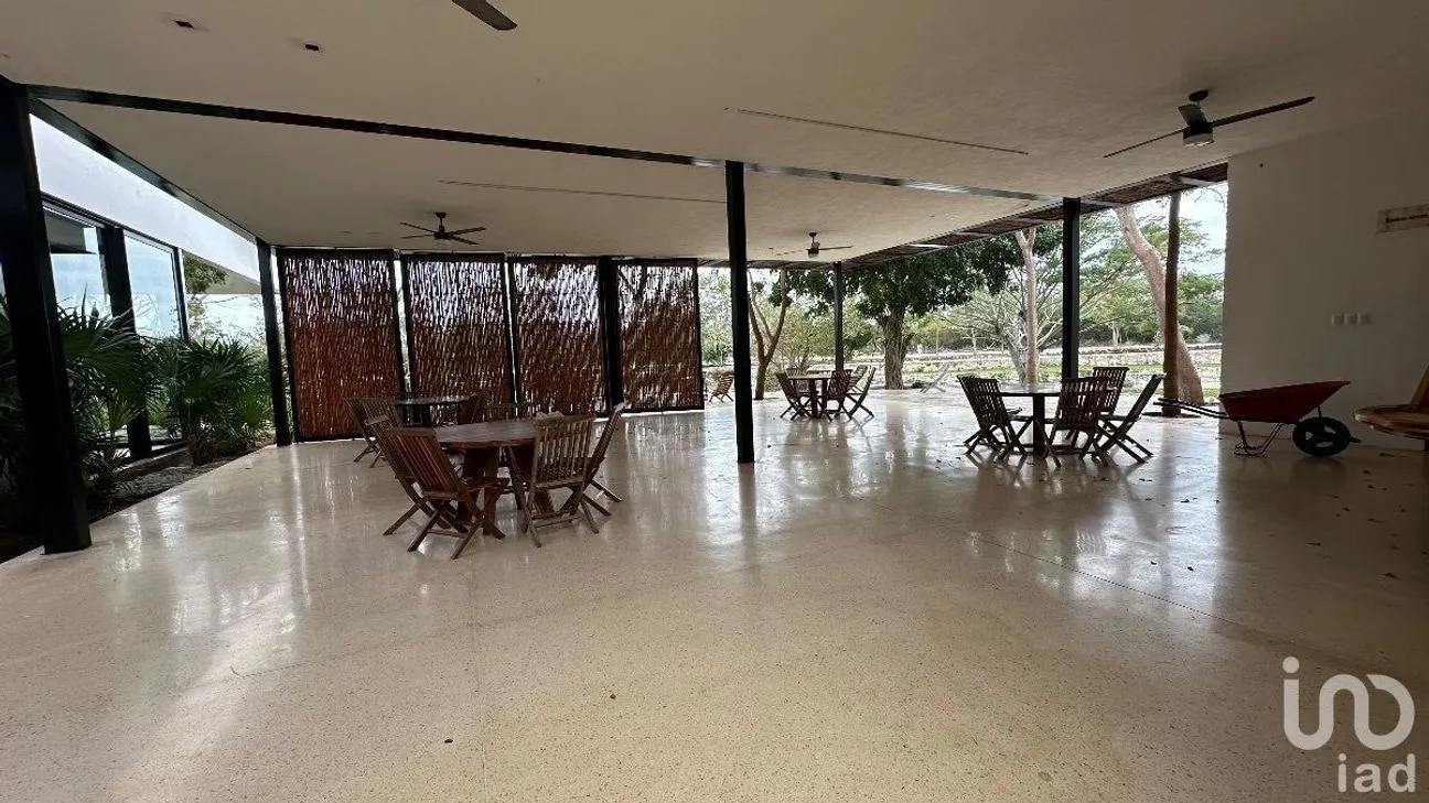 Terreno en Venta en Tamanché, Mérida, Yucatán | NEX-232231 | iad México | Foto 12 de 27