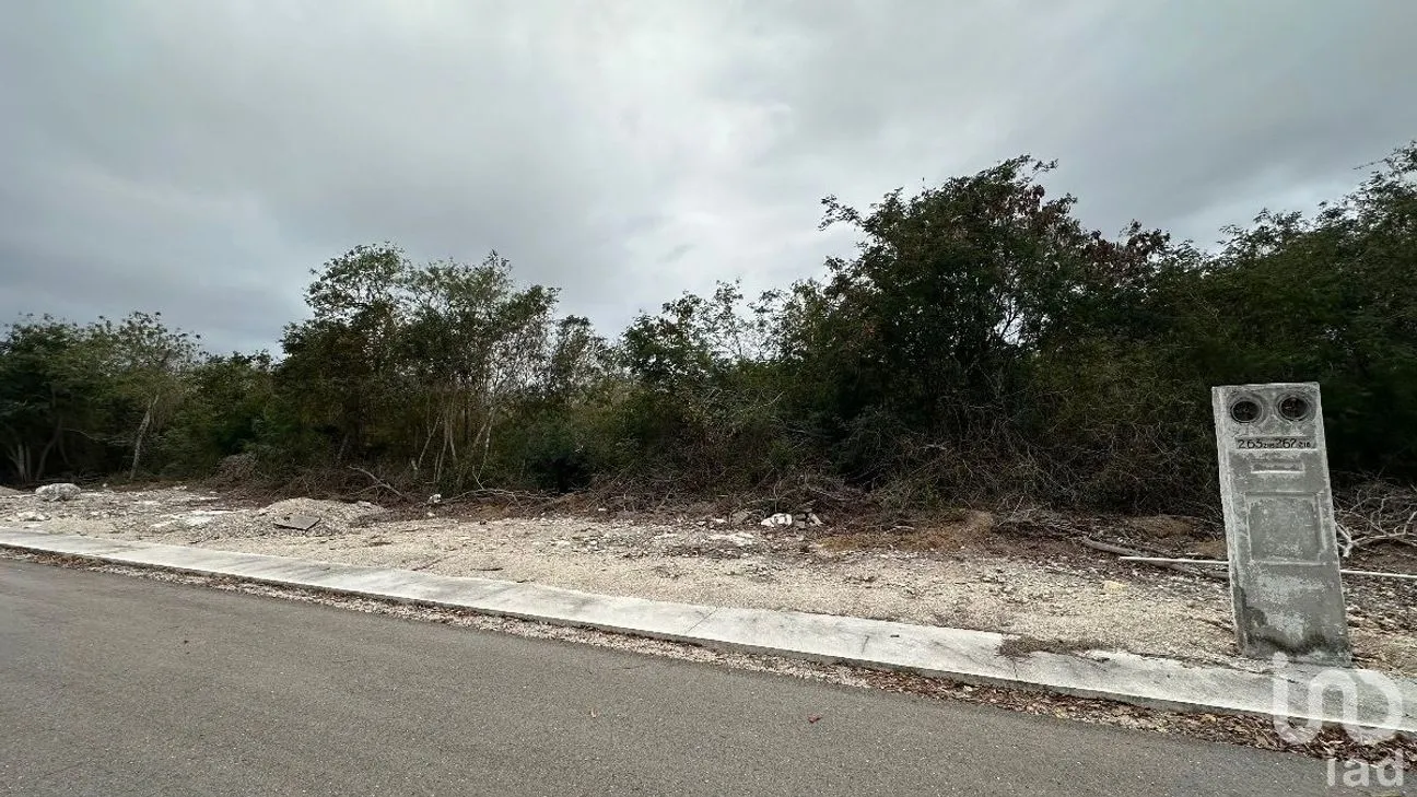 Terreno en Venta en Tamanché, Mérida, Yucatán | NEX-232231 | iad México | Foto 3 de 27