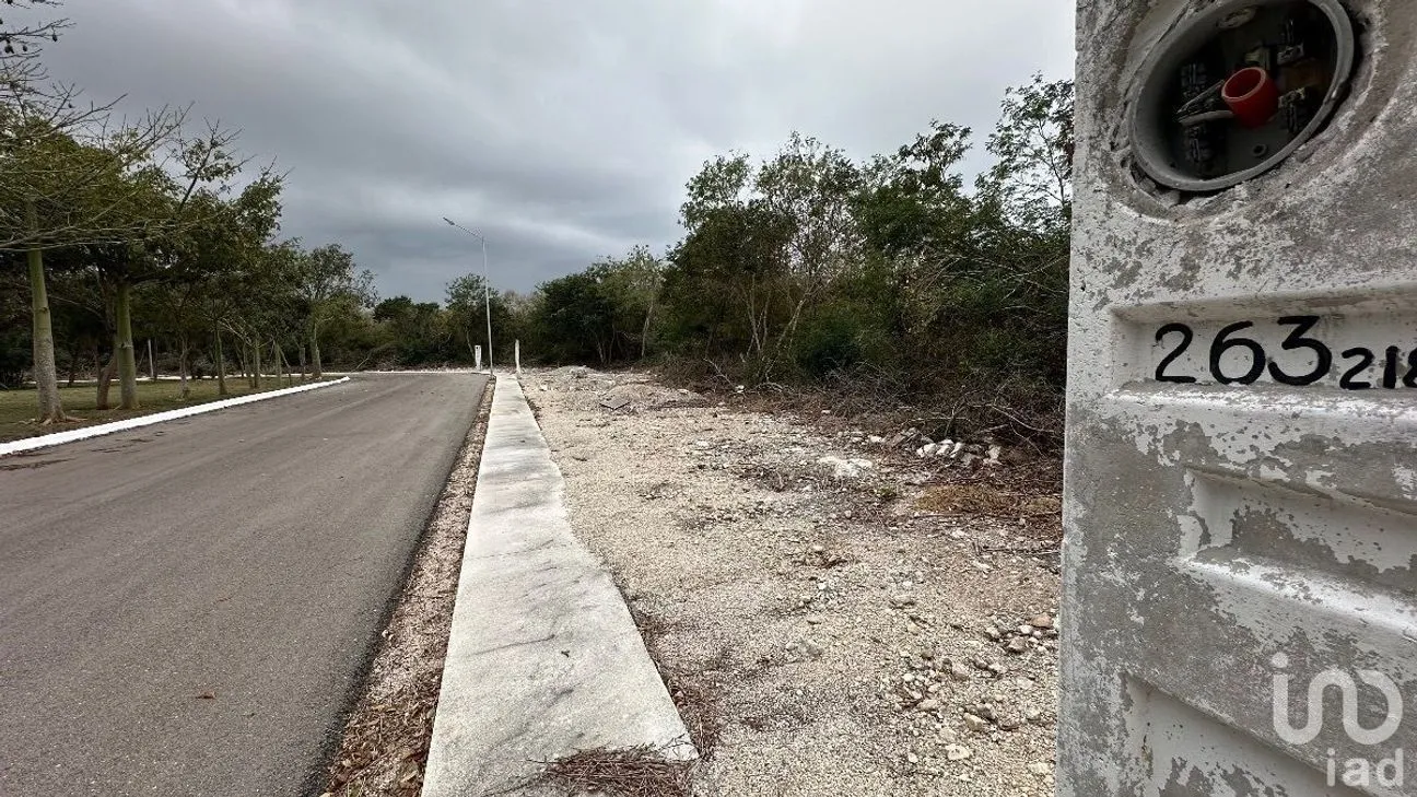 Terreno en Venta en Tamanché, Mérida, Yucatán | NEX-232231 | iad México | Foto 4 de 27