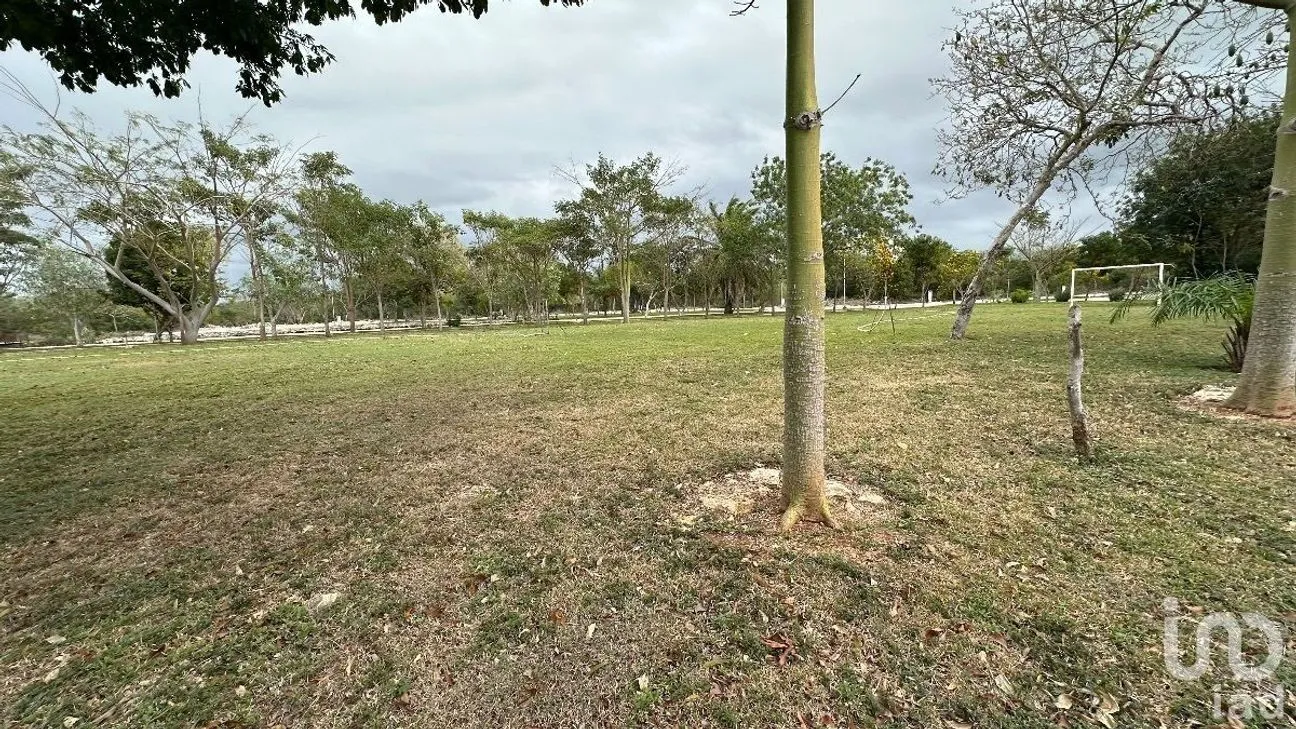 Terreno en Venta en Tamanché, Mérida, Yucatán | NEX-232231 | iad México | Foto 6 de 27