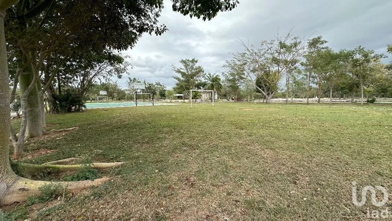 Terreno en Venta en Tamanché, Mérida, Yucatán | NEX-232231 | iad México | Foto 7 de 27