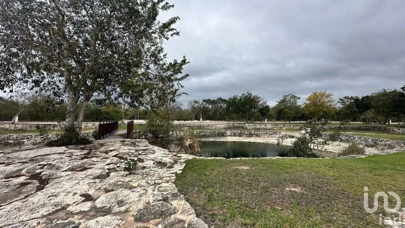 Terreno en Venta en Tamanché, Mérida, Yucatán | NEX-232231 | iad México | Foto 9 de 27