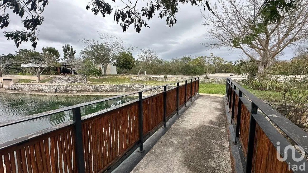 Terreno en Venta en Tamanché, Mérida, Yucatán | NEX-232231 | iad México | Foto 10 de 27