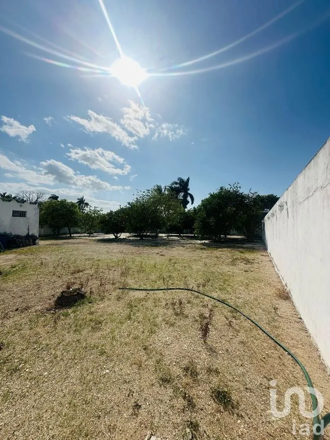 Terreno en Venta en San Antonio Cinta, Mérida, Yucatán | NEX-271786 | iad México | Foto 5 de 9