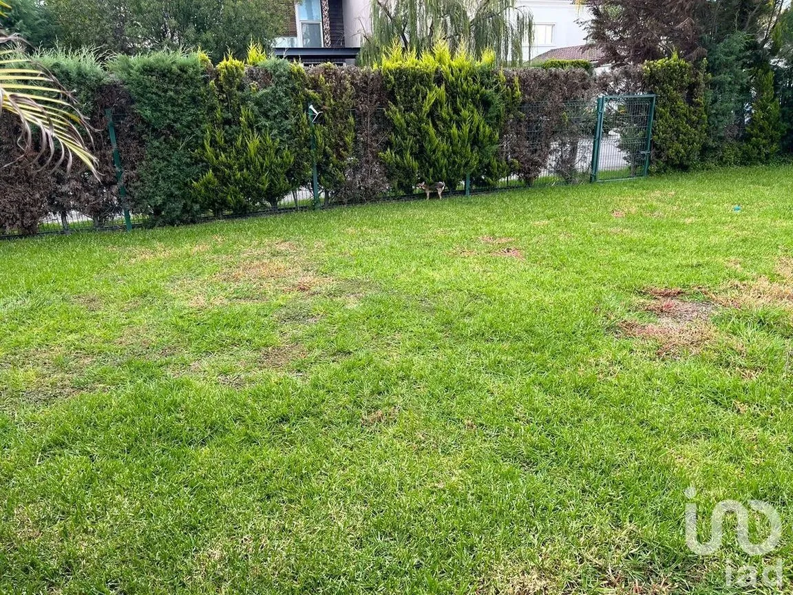 Casa en Renta en El Campanario, Querétaro, Querétaro | NEX-229326 | iad México | Foto 2 de 22