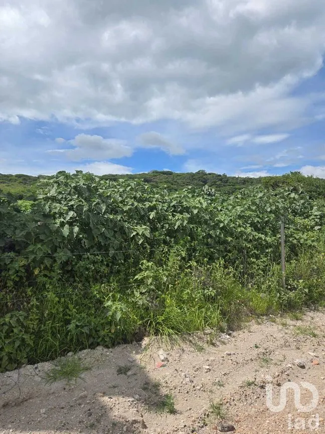 Terreno en Renta en Cerro Prieto, El Marqués, Querétaro | NEX-271179 | iad México | Foto 4 de 12