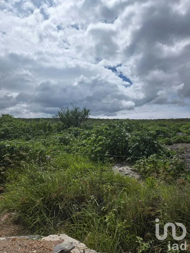 Terreno en Renta en Cerro Prieto, El Marqués, Querétaro | NEX-271179 | iad México | Foto 5 de 12