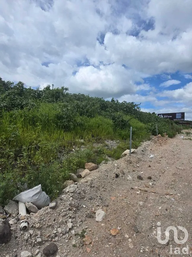 Terreno en Renta en Cerro Prieto, El Marqués, Querétaro | NEX-271179 | iad México | Foto 7 de 12