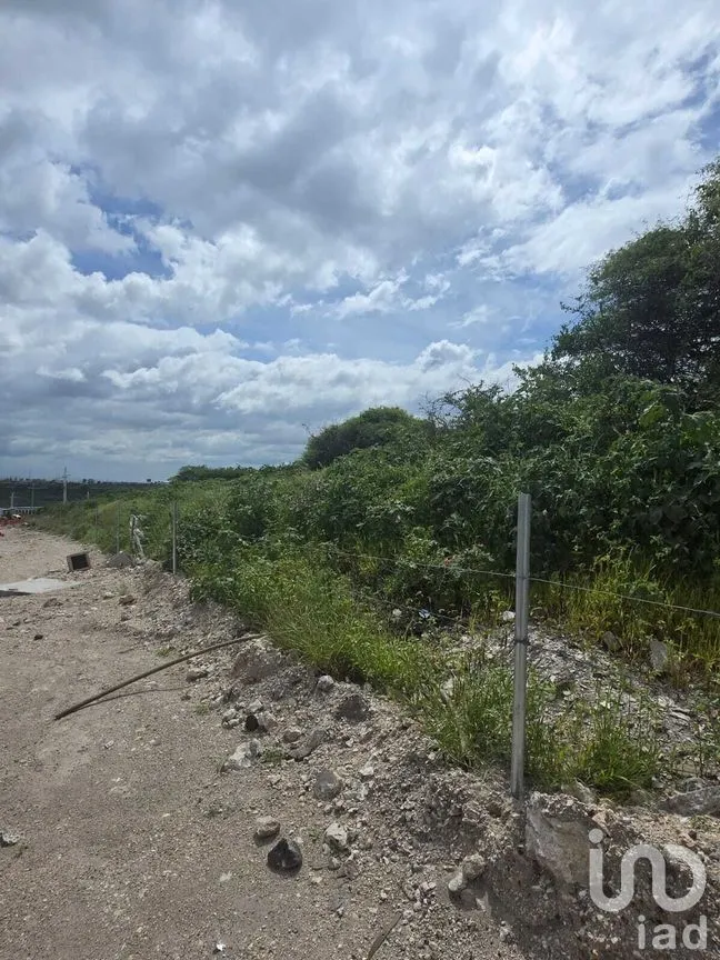 Terreno en Renta en Cerro Prieto, El Marqués, Querétaro | NEX-271179 | iad México | Foto 10 de 12