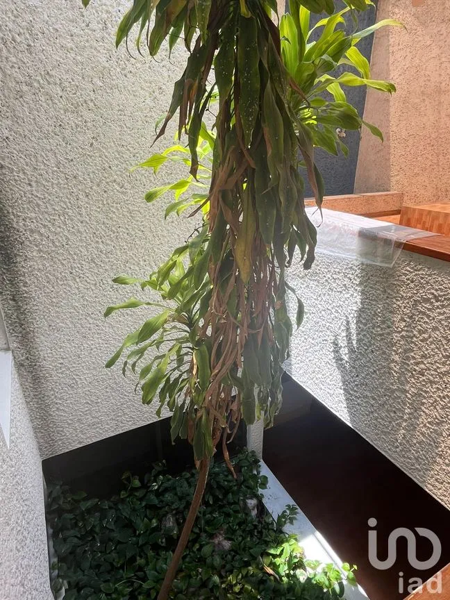 Casa en Venta en Bosques del Acueducto, Querétaro, Querétaro | NEX-276235 | iad México | Foto 25 de 27
