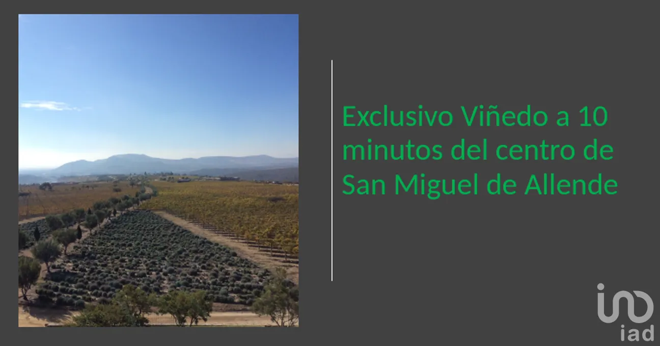 Terreno en Venta en Rinconcillo (Rinconcillo de los Remedios), Comonfort, Guanajuato | NEX-280229 | iad México | Foto 11 de 14