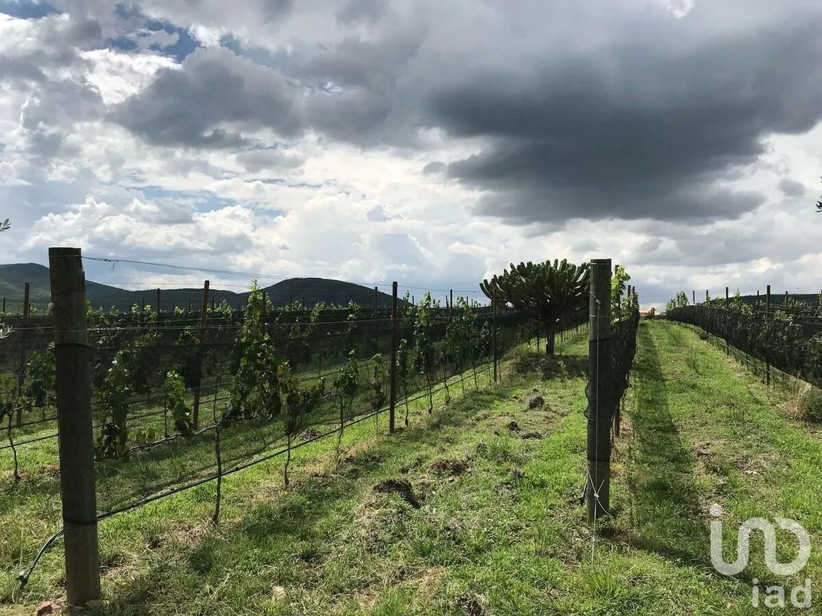 Terreno en Venta en Rinconcillo (Rinconcillo de los Remedios), Comonfort, Guanajuato | NEX-280229 | iad México | Foto 13 de 14