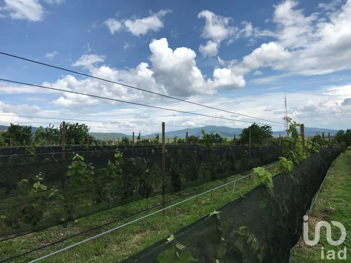 Terreno en Venta en Rinconcillo (Rinconcillo de los Remedios), Comonfort, Guanajuato | NEX-280229 | iad México | Foto 14 de 14
