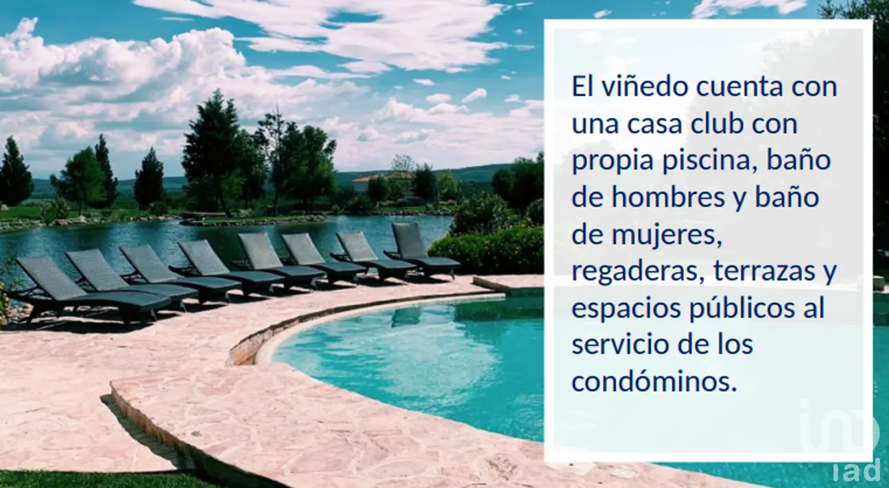 Terreno en Venta en Rinconcillo (Rinconcillo de los Remedios), Comonfort, Guanajuato | NEX-280229 | iad México | Foto 6 de 14