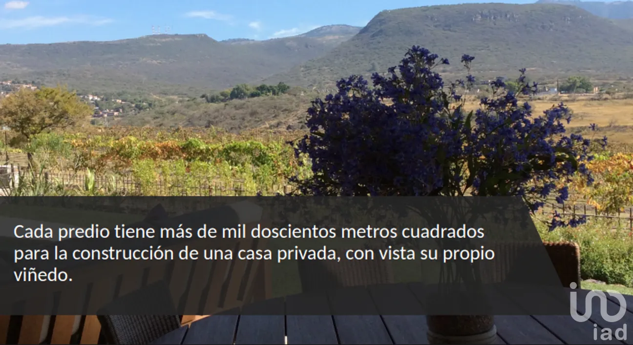Terreno en Venta en Rinconcillo (Rinconcillo de los Remedios), Comonfort, Guanajuato | NEX-280229 | iad México | Foto 7 de 14