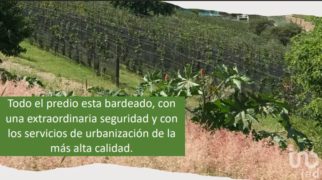 Terreno en Venta en Rinconcillo (Rinconcillo de los Remedios), Comonfort, Guanajuato | NEX-280229 | iad México | Foto 10 de 14