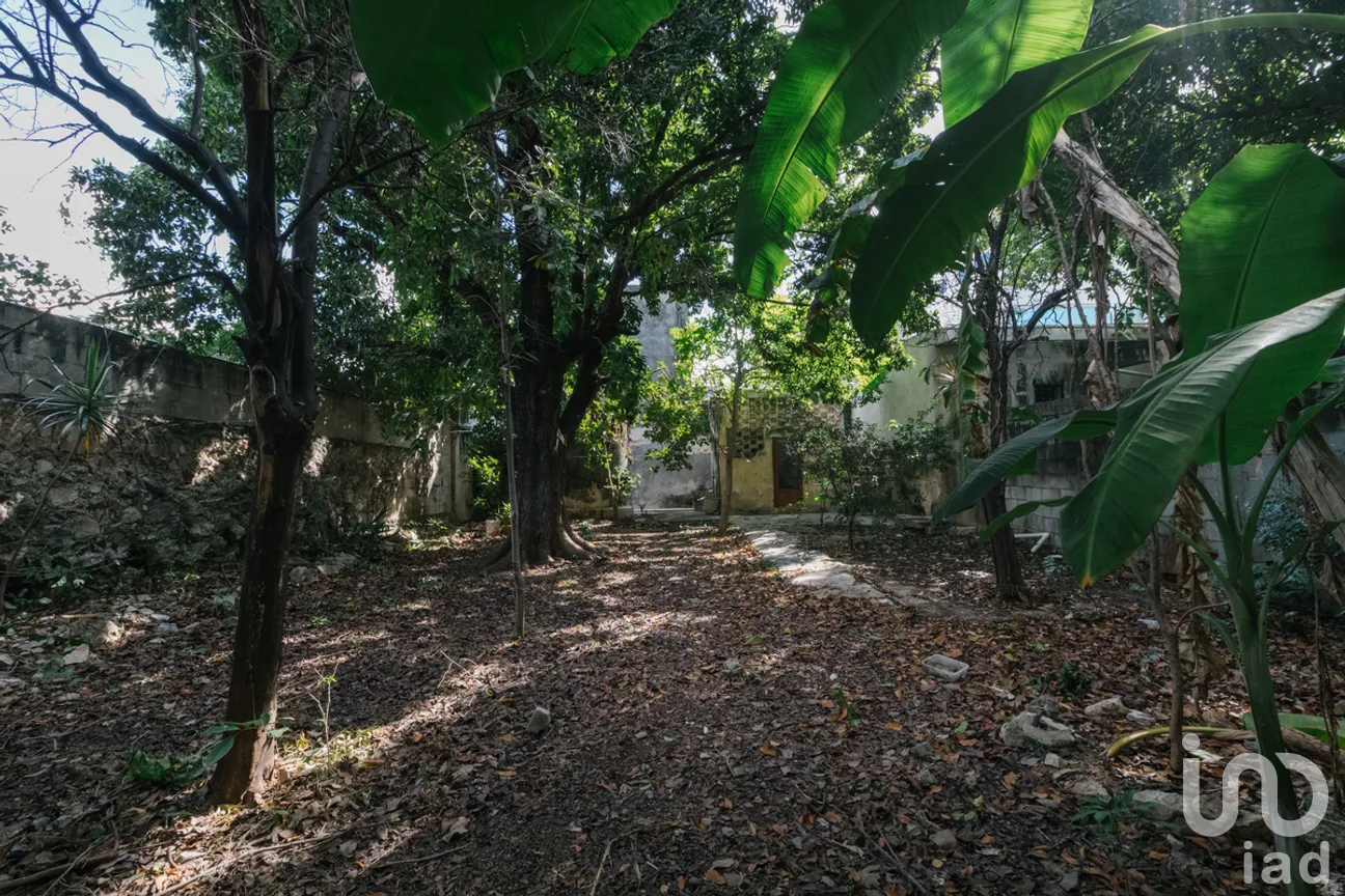 Casa en Venta en Mérida Centro, Mérida, Yucatán | NEX-278280 | iad México | Foto 9 de 12